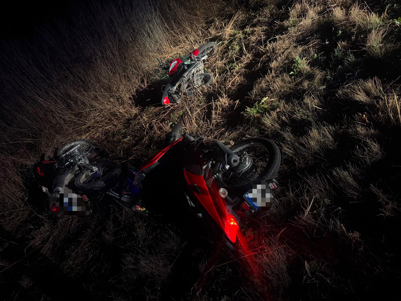 Se ocultaban en pastizales con motos robadas