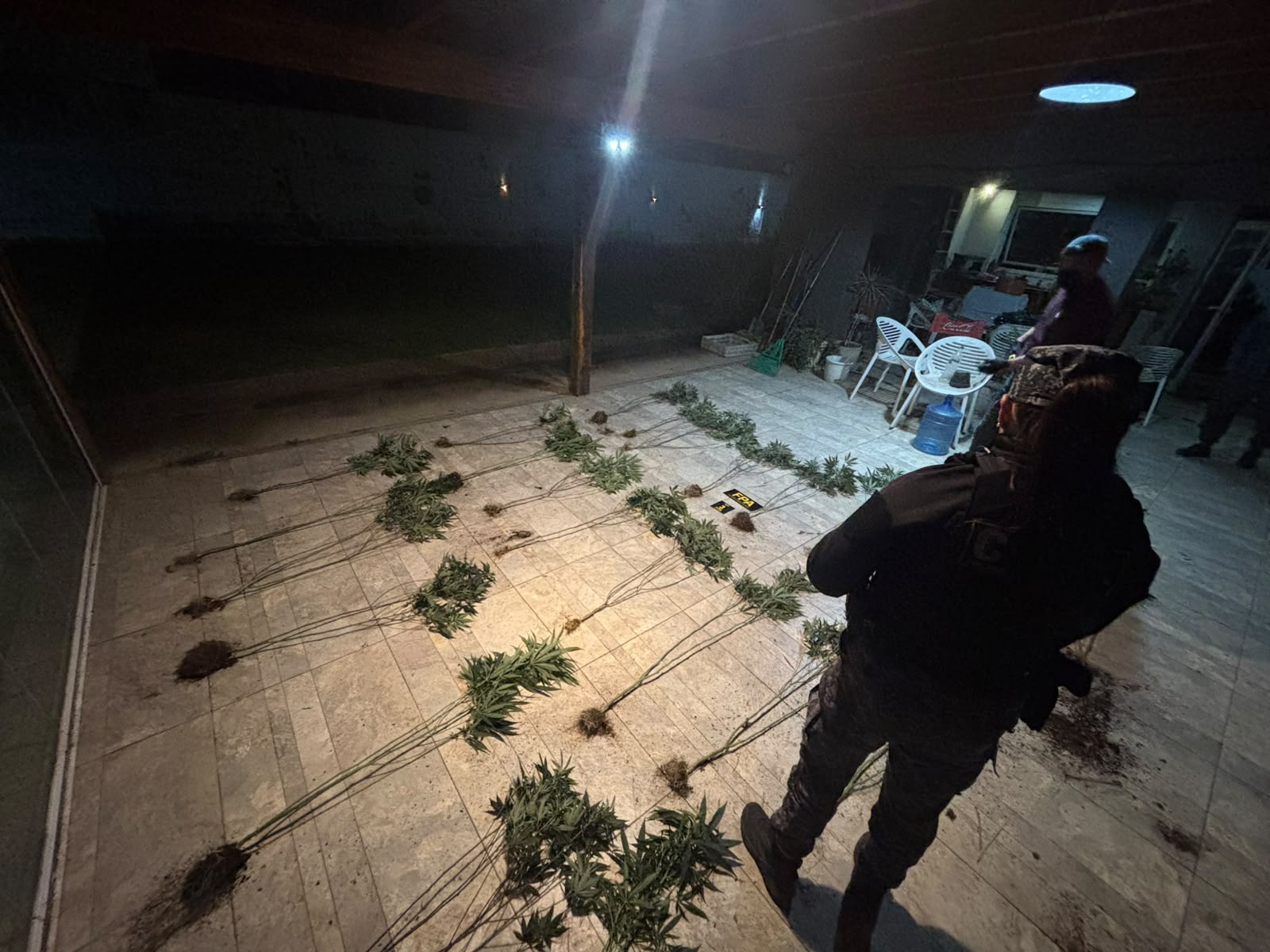 Llamó por aparente robo y encontraron plantas de marihuana